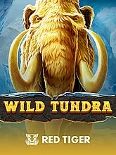 Wild Tundra